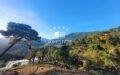 Plot in La Zagaleta with mountain view